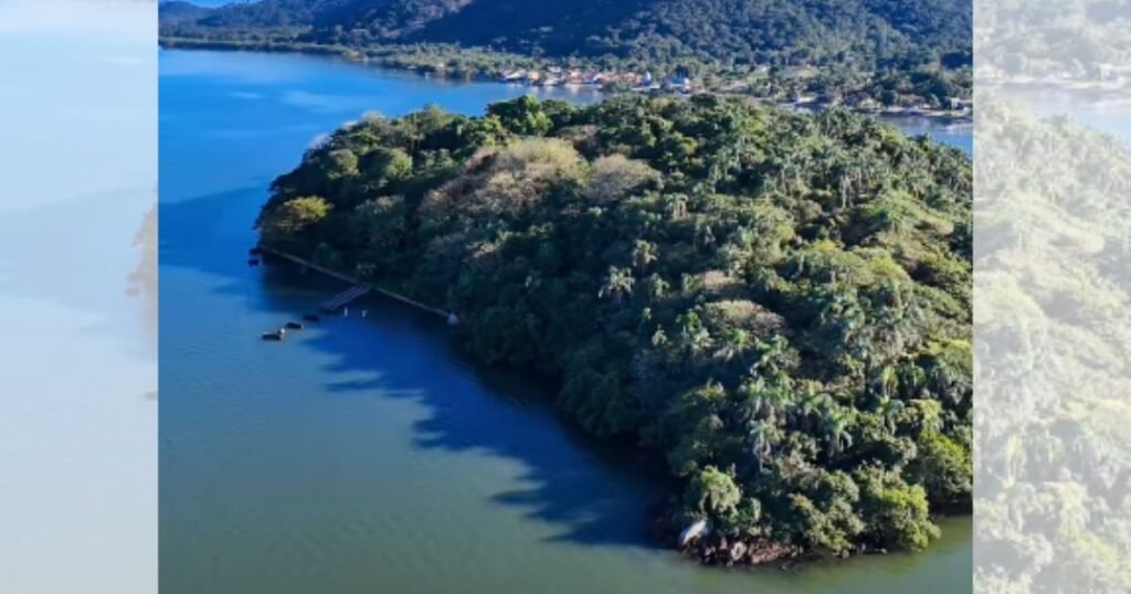 ComScore analytics tracking pixel